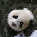 蒯海龙的个人资料头像