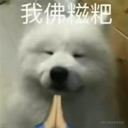 干饭阿澄的个人资料头像