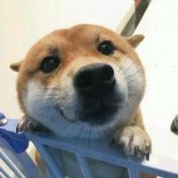 琪怪o头像