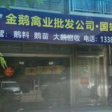 金鹅公司金华头像