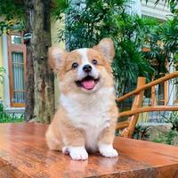 Frankjimy头像