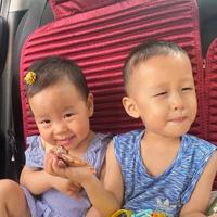 虎啊虎头虎脑头像