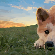 枫_FENG的个人资料头像