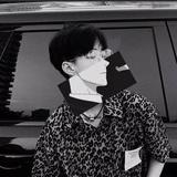 理想三旬3026头像