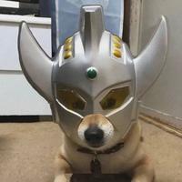 哈哈哈2980203190635头像