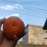 上分就充钱头像