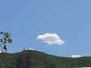 Lynin的个人资料头像