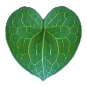 杜衡老师的个人资料头像