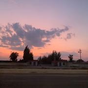 阿菜li的个人资料头像