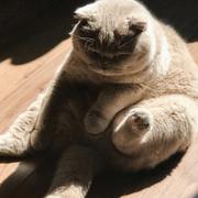 你好845的个人资料头像