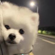 第四纬度的个人资料头像