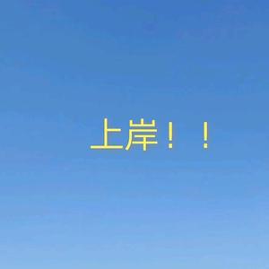 努力考公的礼礼头像