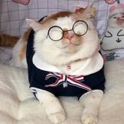 观海_的个人资料头像