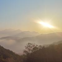 离不了凡尘俗世头像