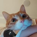 用户5341650287144头像