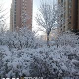 来会0w4t头像
