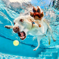 探索宇宙001头像