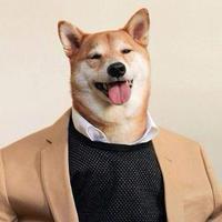猫大王王王王头像