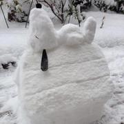 k2easy的个人资料头像