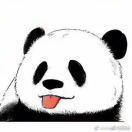 小胖纸爱好者头像