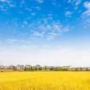 追求真相的个人资料头像