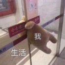 呼啦啦同学的个人资料头像