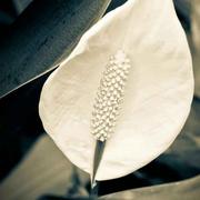 chenc的个人资料头像