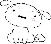 小白求生之路的个人资料头像