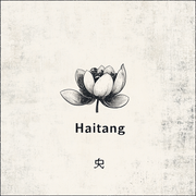 海棠学社的个人资料头像