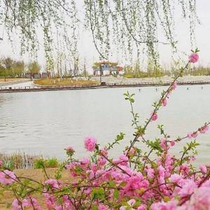 走遍北京小景点头像