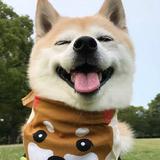 李云龙的意大利炮12头像