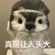 周也不知名男友头像