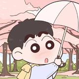 不定式505头像