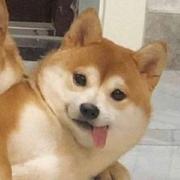 nullclear的个人资料头像