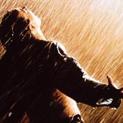 路过一只大侠的个人资料头像