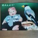 এ封心锁爱45头像