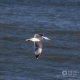 浅笑优柔198头像