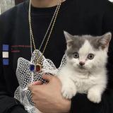 深圳恒晟名车头像