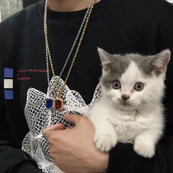 深圳恒晟名车头像