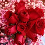 温柔的一刀848头像