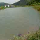 上善若水3H2F头像