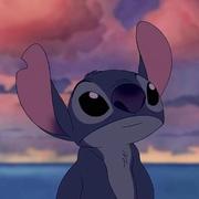 567497的个人资料头像