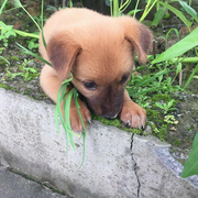 一缕云烟的个人资料头像