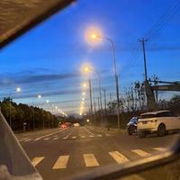 大鹿001头像