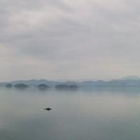 蝴蝶泉边ED7K头像