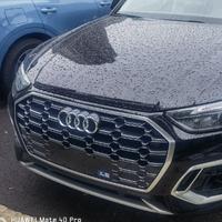 龙腾四海之双龙头像