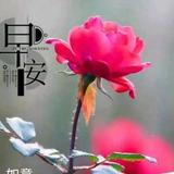 吾悦头像