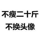 ppxiagogo的个人资料头像