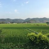 陈钦勇77128073头像