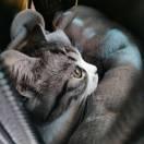 张张张同志68029的个人资料头像